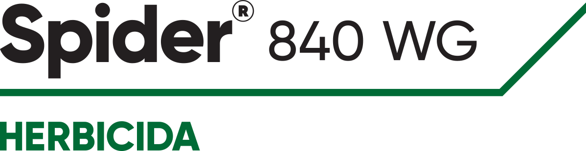 Logo Spider 840
